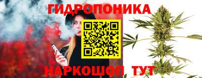 каннабис Новозыбков