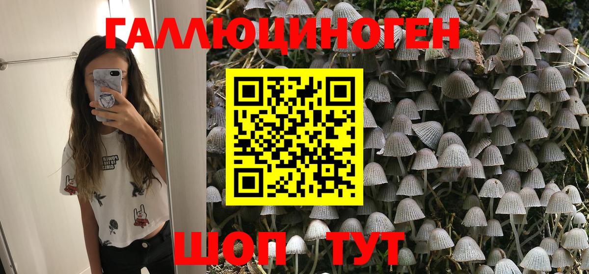 Псилоцибиновые грибы MAGIC MUSHROOMS Тосно