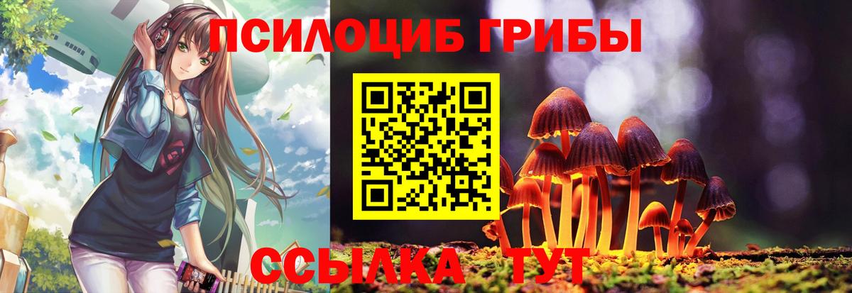 Псилоцибиновые грибы MAGIC MUSHROOMS  Псилоцибиновые грибы ЛСД  Вход с VPN  Тосно 